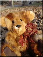 19" Rabbit Hide Teddy Bear